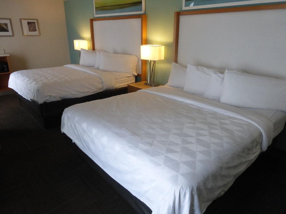 Red Roof Inn Plus & Suites Tampa Zewnętrze zdjęcie