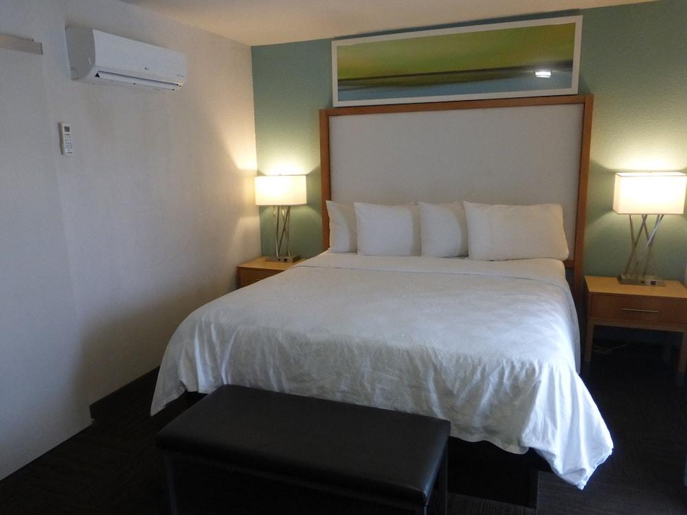 Red Roof Inn Plus & Suites Tampa Zewnętrze zdjęcie
