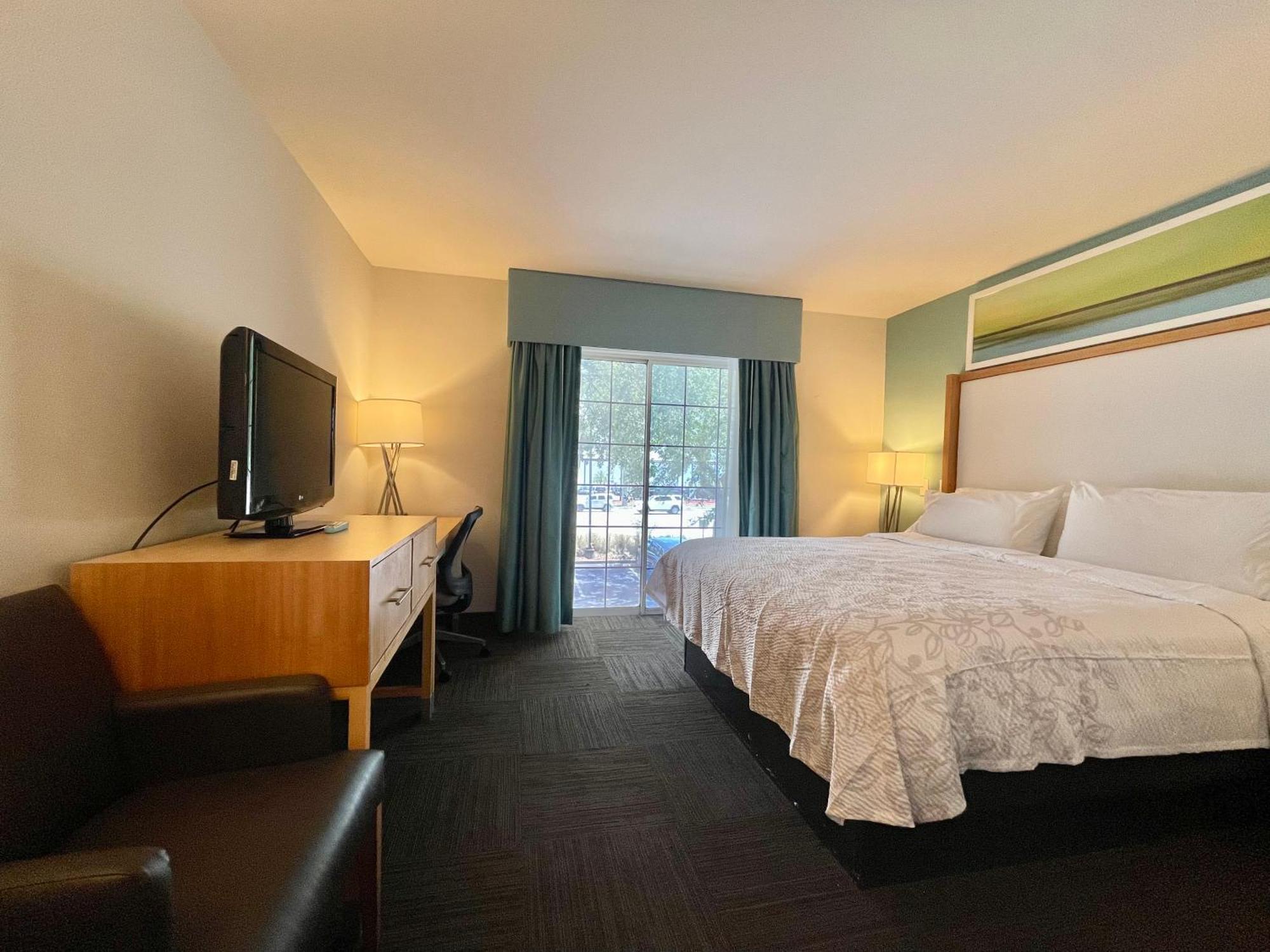 Red Roof Inn Plus & Suites Tampa Pokój zdjęcie